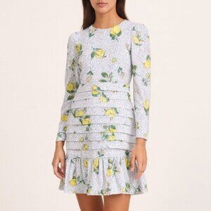 Never Fully Dressed Lemon Print Ruffle Hem Dress Size S Long Sleeve Boho Cottage
